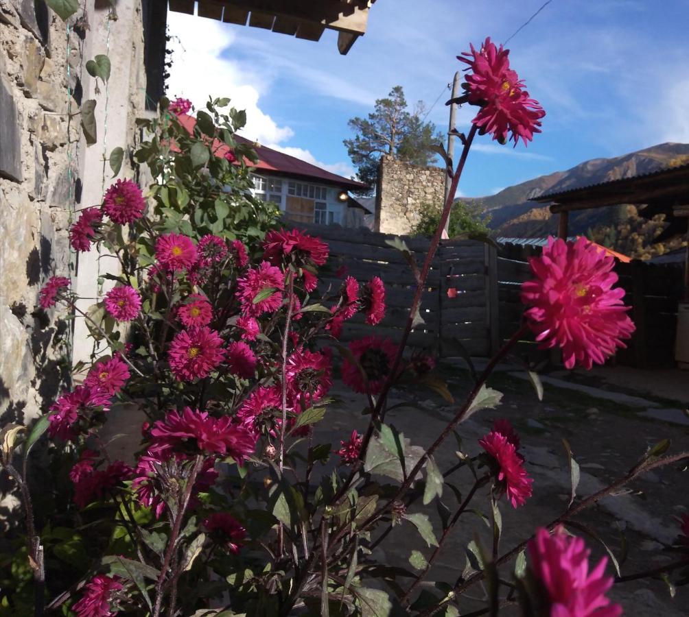 Guest House "Betqil" Adishi エクステリア 写真